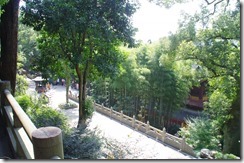 IMGP0082