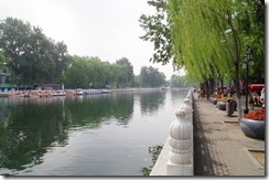 IMGP8981