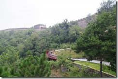 IMGP9260