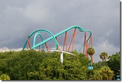 IMGP6142