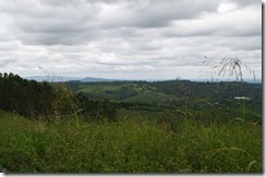 IMGP4815 IMGP4815
