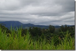 IMGP4817 IMGP4817