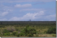 IMGP6042 IMGP6042
