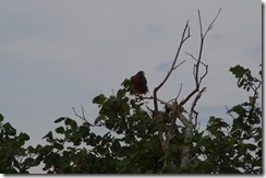 IMGP6304 IMGP6304