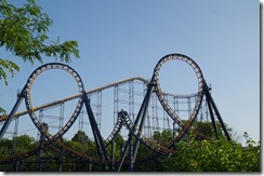 IMGP6051