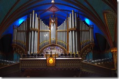 IMGP7253