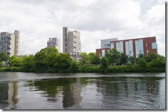 IMGP8317