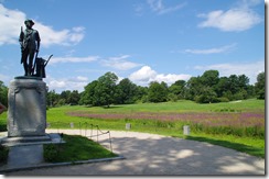 IMGP8408