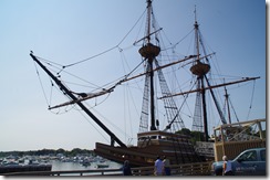 IMGP8519